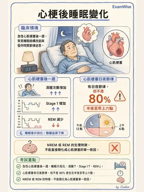 呼吸治療師 - 睡眠相關呼吸障礙 - AI 圖文解析預覽