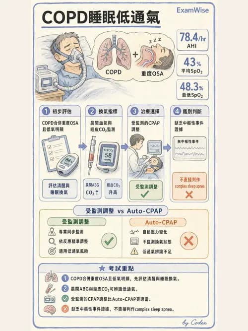 呼吸治療師 - 睡眠相關呼吸障礙 - AI 圖文解析預覽