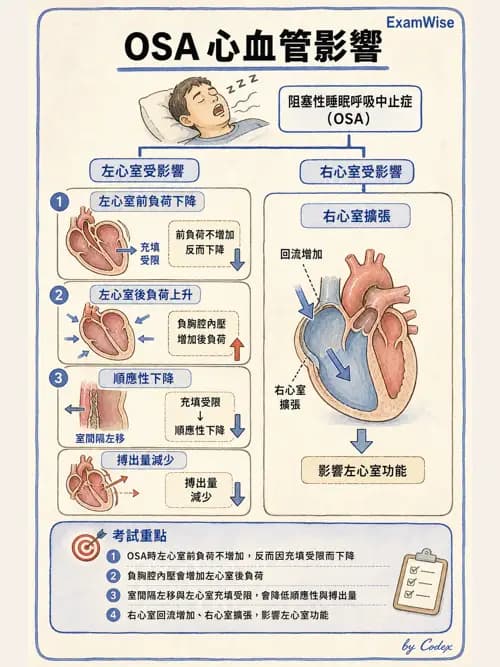 呼吸治療師 - 睡眠相關呼吸障礙 - AI 圖文解析預覽