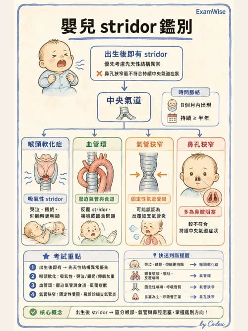 呼吸治療師 - 兒童呼吸系統疾病 - AI 圖文解析預覽