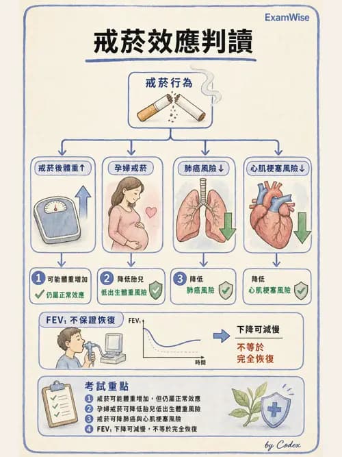 呼吸治療師 - 病人評估與衛教 - AI 圖文解析預覽