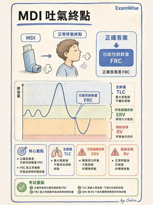 呼吸治療師 - 病人評估與衛教 - AI 圖文解析預覽