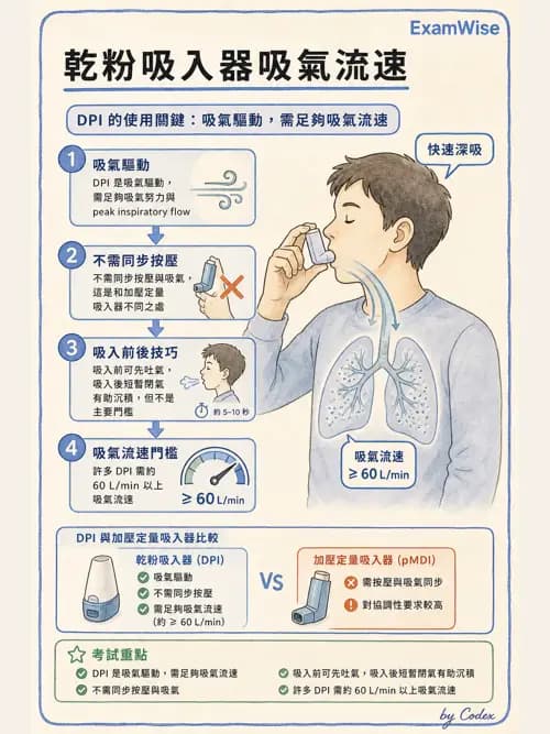 呼吸治療師 - 病人評估與衛教 - AI 圖文解析預覽