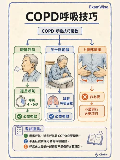 呼吸治療師 - 病人評估與衛教 - AI 圖文解析預覽