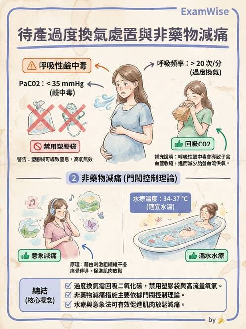 護理師 - 生產疼痛與麻醉技術 - AI 圖文解析預覽