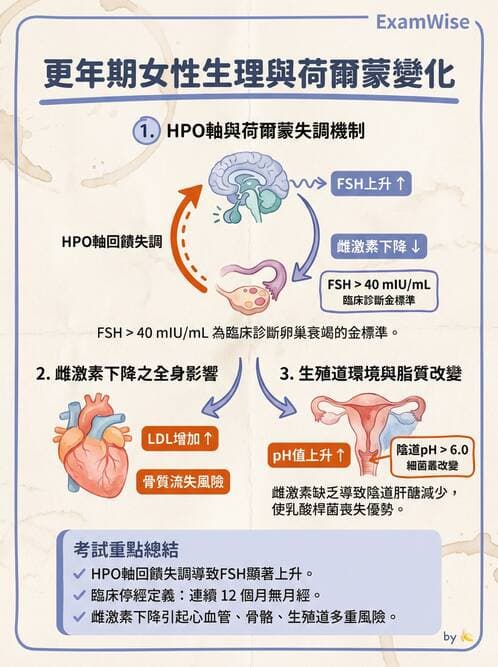 護理師 - 不孕症月經與更年期 - AI 圖文解析預覽