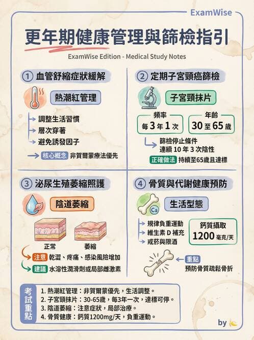 護理師 - 不孕症月經與更年期 - AI 圖文解析預覽