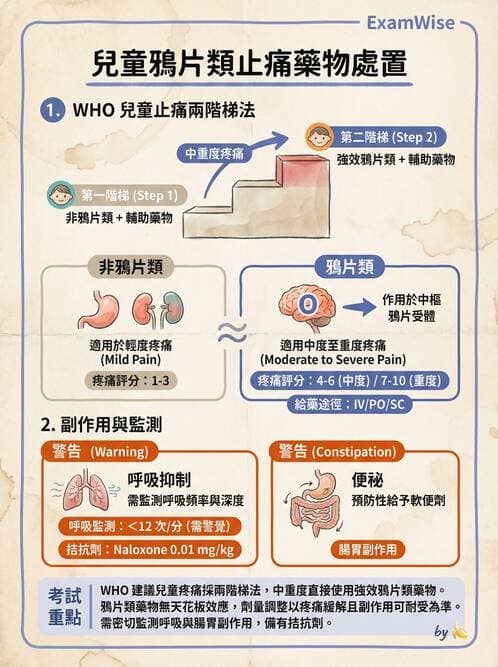 護理師 - 兒童心理與特殊照護 - AI 圖文解析預覽