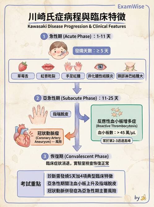 護理師 - 兒童循環系統疾病 - AI 圖文解析預覽