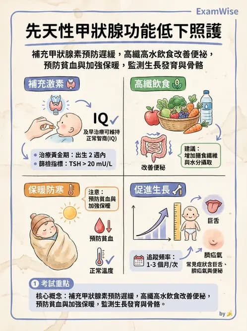護理師 - 兒童內分泌與代謝疾病 - AI 圖文解析預覽