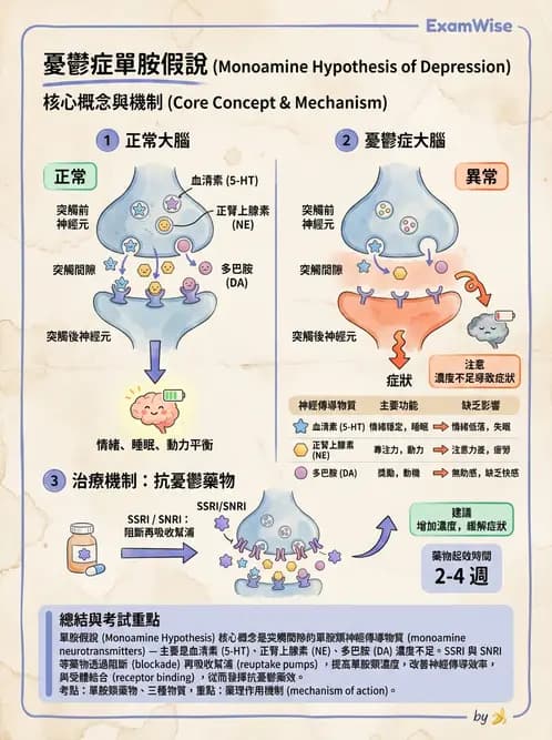 護理師 - 情感與思覺障礙綜合評估 - AI 圖文解析預覽