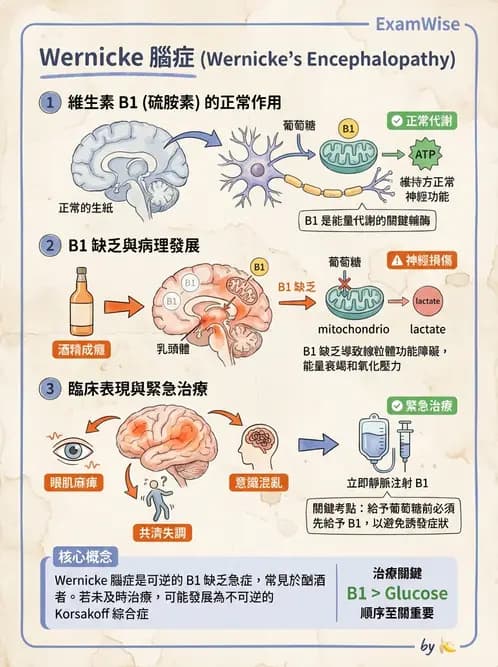護理師 - 物質相關與成癮障礙 - AI 圖文解析預覽