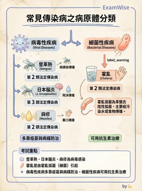 護理師 - 傳染病防治與護理 - AI 圖文解析預覽