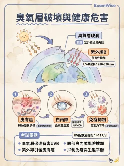 護理師 - 環境衛生與護理 - AI 圖文解析預覽