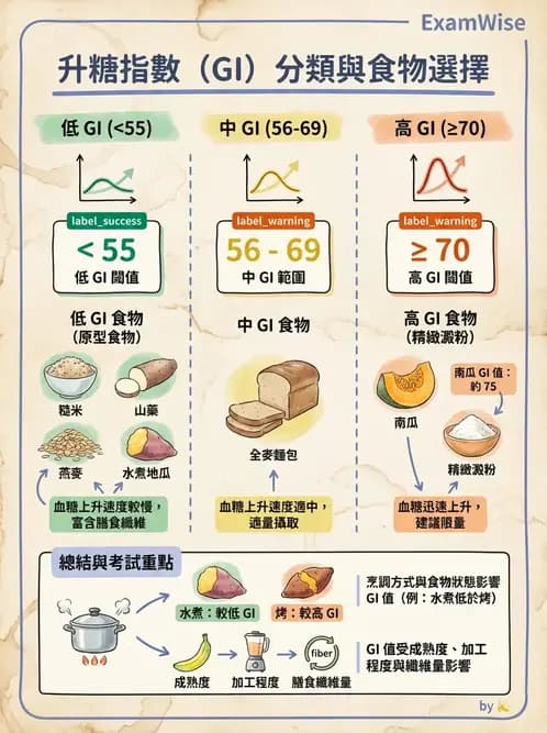 護理師 - 慢性病防治 - AI 圖文解析預覽