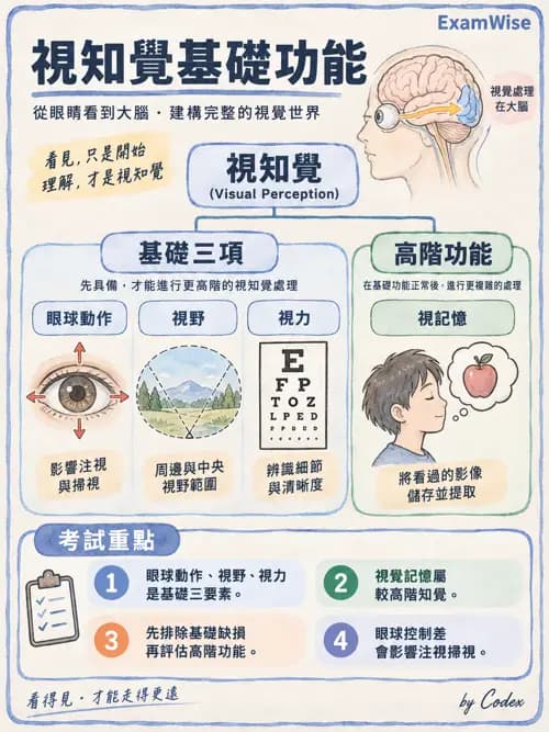 職治 - 感覺、視覺與知覺 - AI 圖文解析預覽