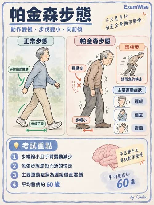 職治 - 神經退化與神經肌肉疾病 - AI 圖文解析預覽
