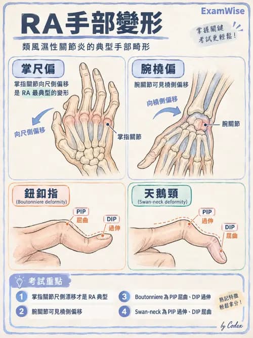 職治 - 骨科與風濕疾病 - AI 圖文解析預覽