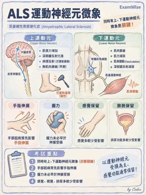 職治 - 神經退化與神經肌肉疾病 - AI 圖文解析預覽