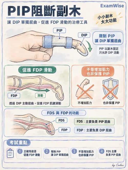職治 - 副木與裝具 - AI 圖文解析預覽