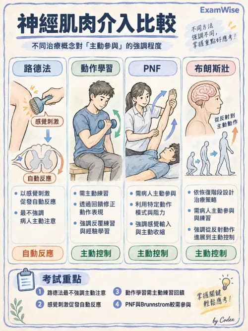 職治 - 神經動作治療理論 - AI 圖文解析預覽
