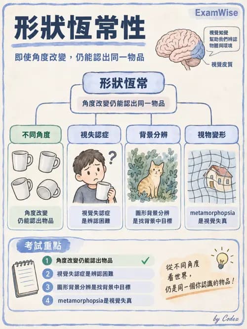 職治 - 感覺、視覺與知覺 - AI 圖文解析預覽