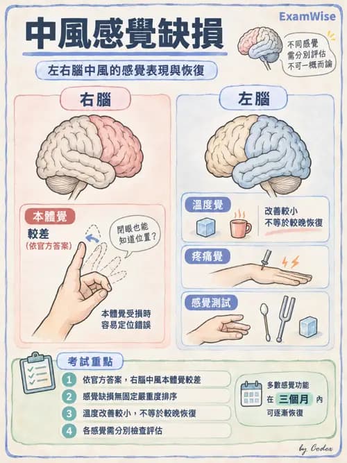 職治 - 腦中風與腦外傷 - AI 圖文解析預覽