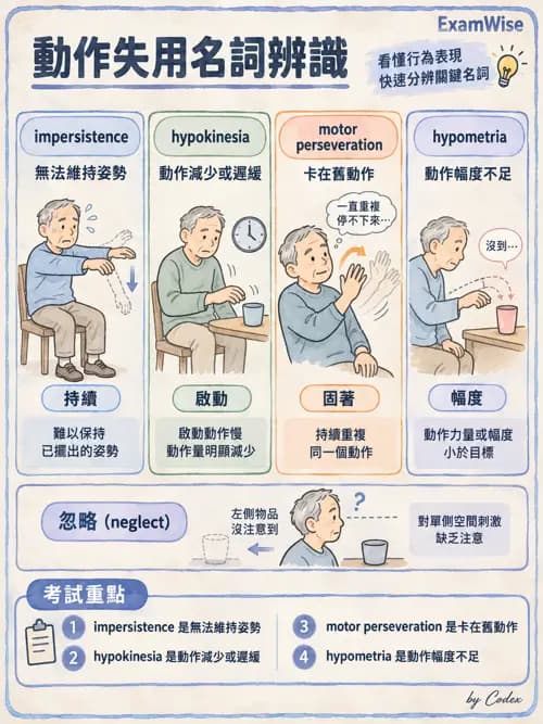 職治 - 感覺、視覺與知覺 - AI 圖文解析預覽