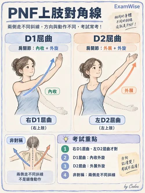 職治 - 神經動作治療理論 - AI 圖文解析預覽