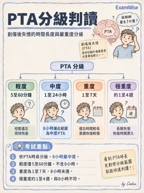 職治 - 腦中風與腦外傷 - AI 圖文解析預覽
