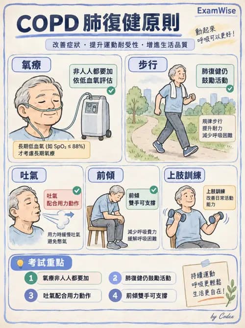 職治 - 心肺疾病、燒燙傷與癌症 - AI 圖文解析預覽