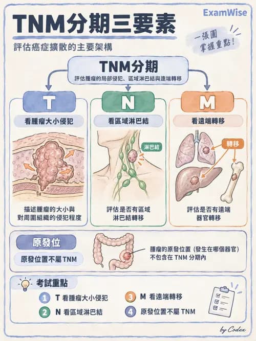 職治 - 心肺疾病、燒燙傷與癌症 - AI 圖文解析預覽