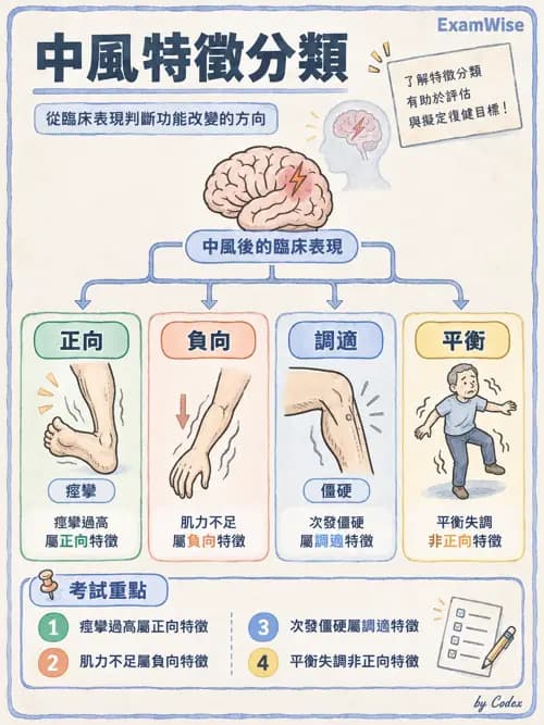 職治 - 神經動作治療理論 - AI 圖文解析預覽