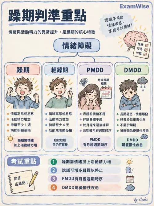 職治 - 思覺失調與情緒障礙 - AI 圖文解析預覽