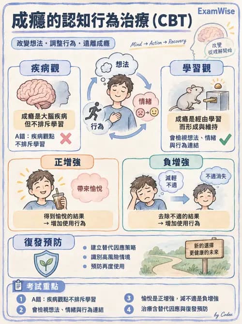 職治 - 物質使用、司法與特殊族群 - AI 圖文解析預覽