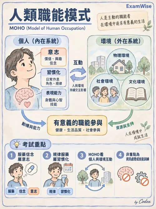 職治 - 日常生活與生活技能 - AI 圖文解析預覽