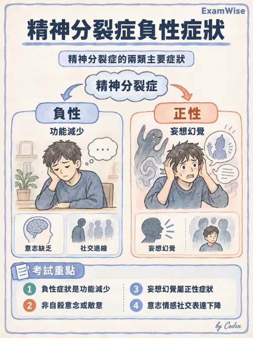 職治 - 思覺失調與情緒障礙 - AI 圖文解析預覽