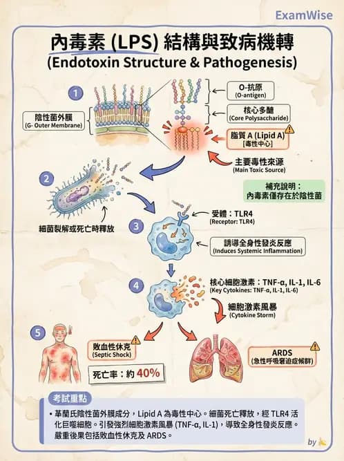 護理師 - 感染及環境疾病 - AI 圖文解析預覽