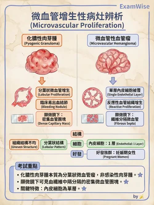 護理師 - 呼吸、循環系統 - AI 圖文解析預覽