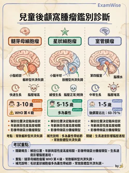 護理師 - 腫瘤及遺傳疾病 - AI 圖文解析預覽