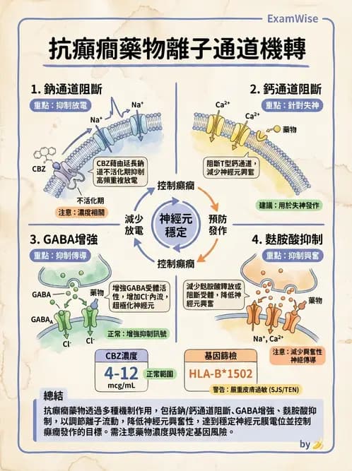 護理師 - 鎮痛、麻醉與神經科藥物 - AI 圖文解析預覽