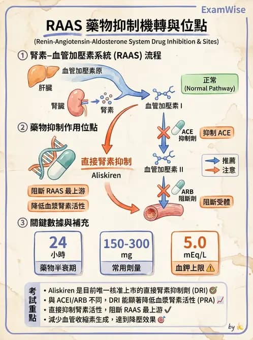 護理師 - 心臟藥物與抗血栓劑 - AI 圖文解析預覽