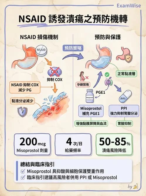 護理師 - 呼吸道及胃腸道作用藥物 - AI 圖文解析預覽