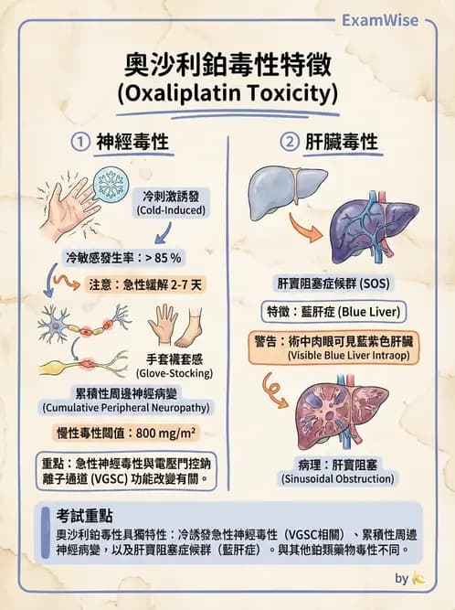 護理師 - 化學治療與免疫調節藥物 - AI 圖文解析預覽