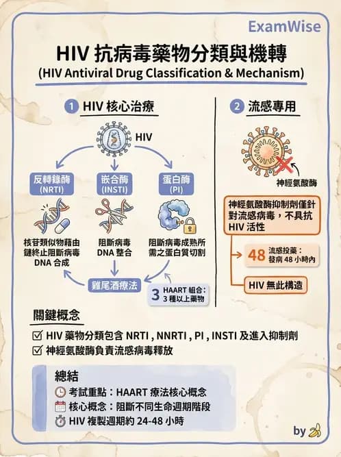 護理師 - RNA 病毒、新興病毒 - AI 圖文解析預覽