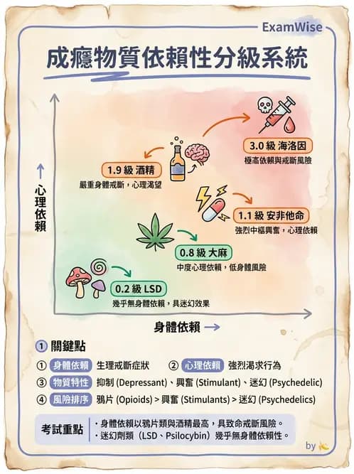 護理師 - 精神科藥物 - AI 圖文解析預覽