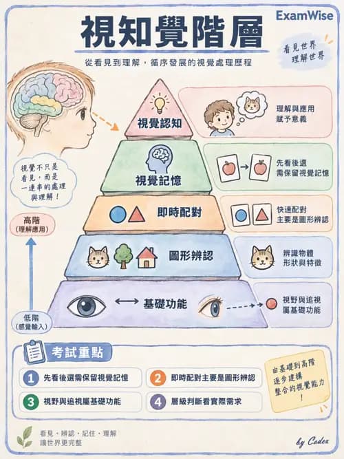 職治 - 視知覺與認知 - AI 圖文解析預覽