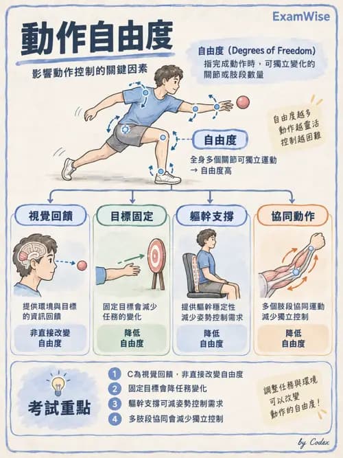 職治 - 動作相關參考架構 - AI 圖文解析預覽