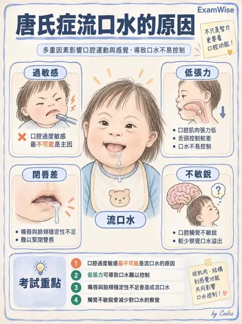職治 - 進食、口腔動作與吞嚥 - AI 圖文解析預覽
