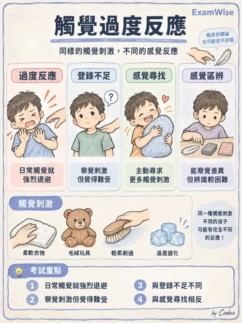 職治 - 感覺統合與感覺處理 - AI 圖文解析預覽